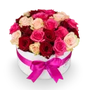 Dolce rosa